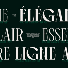 trt-pachel-luxury-editorial-serif-font-unknown-creator-6.png