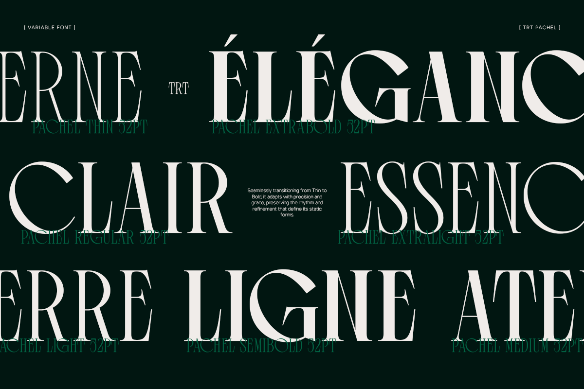 trt-pachel-luxury-editorial-serif-font-unknown-creator-6.png