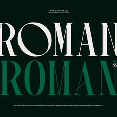 trt-pachel-luxury-editorial-serif-font-unknown-creator-7.png