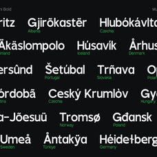 trt-rusthic-grotesque-sans-unknown-creator-14.jpg