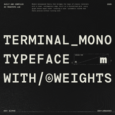 trt-terminal-mono-true-type-lab-1.png