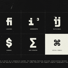 trt-terminal-mono-true-type-lab-14.png
