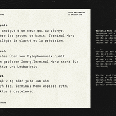 trt-terminal-mono-true-type-lab-15.png
