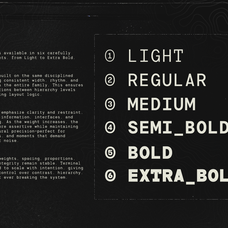 trt-terminal-mono-true-type-lab-3.png
