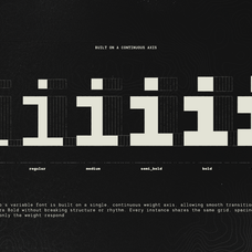 trt-terminal-mono-true-type-lab-5.png