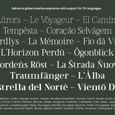 trt-vermolin-modern-classy-serif-typeface-unknown-creator-14.jpg