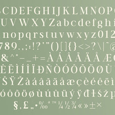 trt-vermolin-modern-classy-serif-typeface-unknown-creator-2.jpg