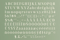 TRT Vermolin — Modern Classy Serif Typeface