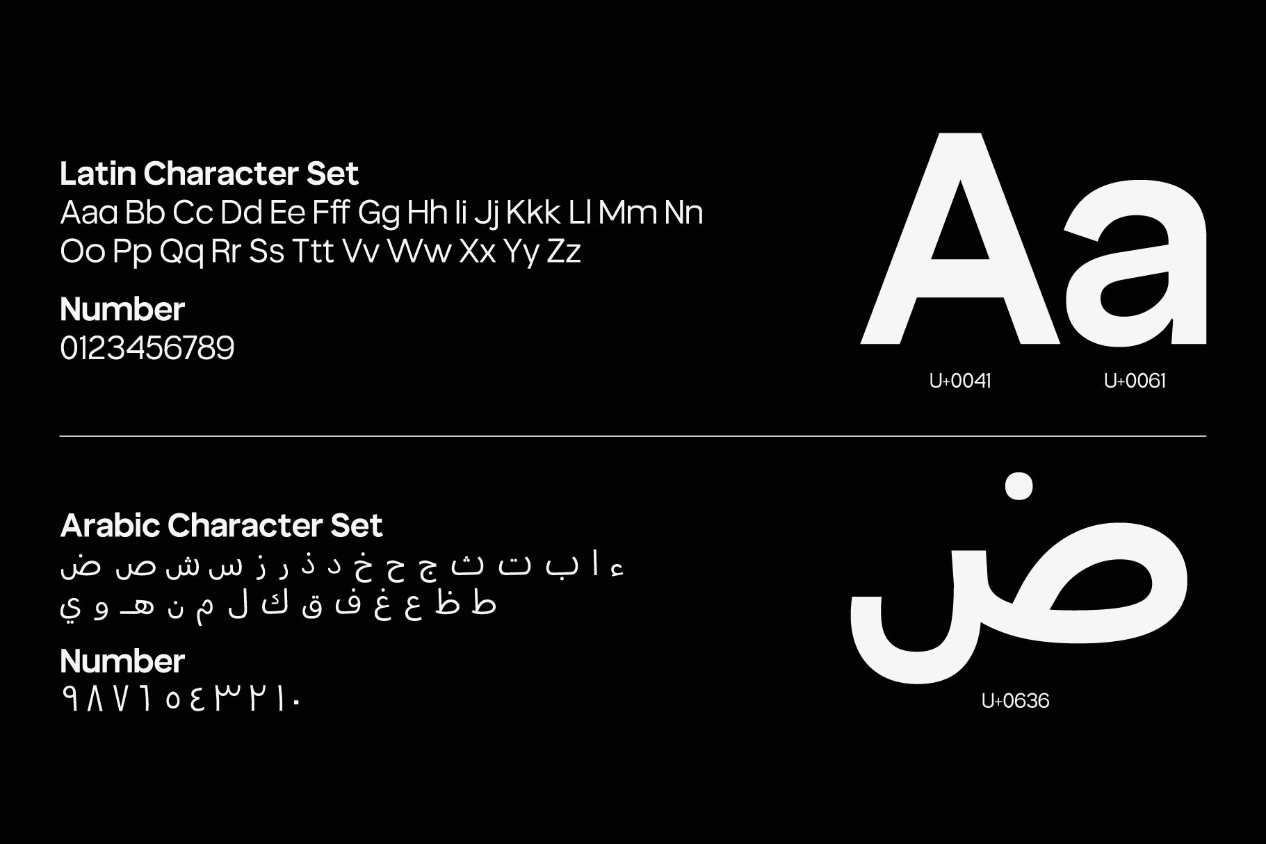 true-arabic-the-seamless-bridge-between-scripts-casloop-studio-4.jpg