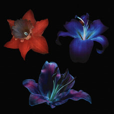 ultraviolet-flowers-pack-v1-gfx-database-2.jpg