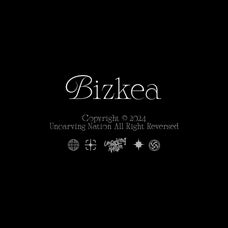 UN Bizkea