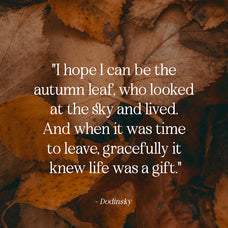 unclare-serif-font-family-with-ligatures-unknown-creator-19.jpg