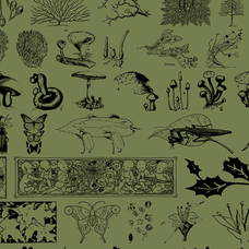undergrowth-graphics-pack-blaine-pate-studio-7.png
