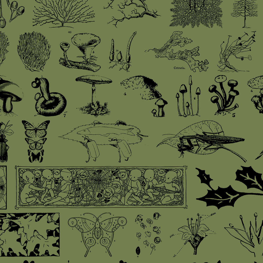 undergrowth-graphics-pack-blaine-pate-studio-7.png