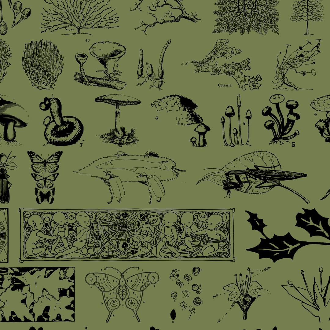 undergrowth-graphics-pack-blaine-pate-studio-7.png