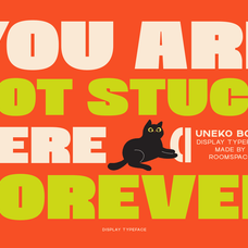 uneko-bold-playful-chunky-display-font-roomspace-creative-lab-3.png