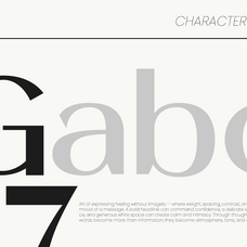 valentra-modern-editorial-sans-serif-font-unknown-creator-5.png