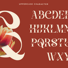 vanelo-luxury-logo-serif-font-say-studio-10.png