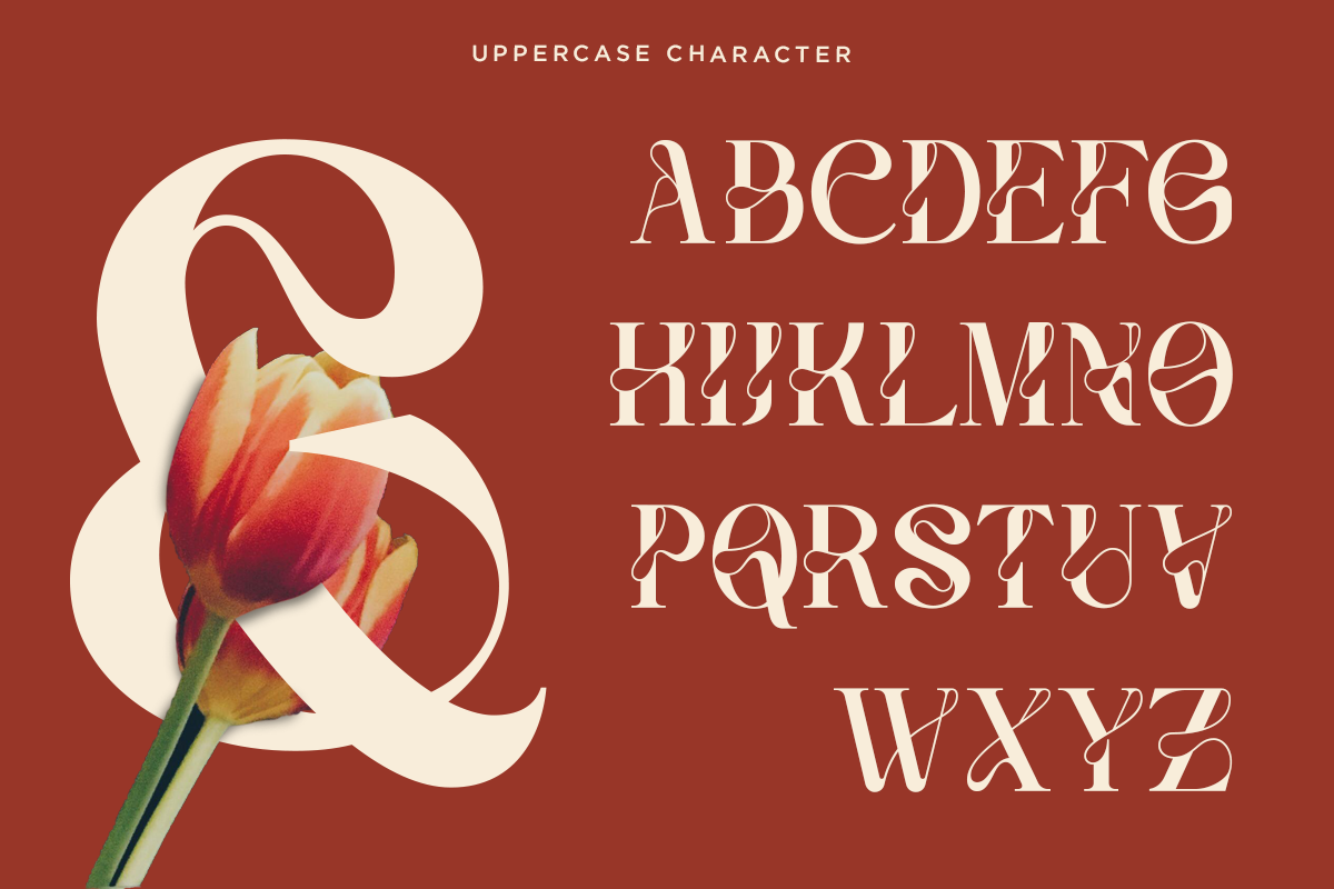 vanelo-luxury-logo-serif-font-say-studio-10.png