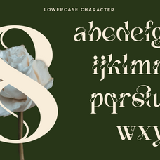 vanelo-luxury-logo-serif-font-say-studio-11.png