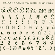 vanelo-luxury-logo-serif-font-say-studio-12.png