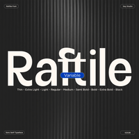 Variable Sans Serif Font Family - Raftile