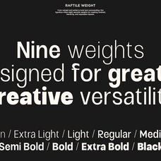 variable-sans-serif-font-family-raftile-say-studio-2.png