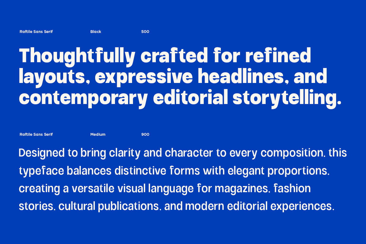 variable-sans-serif-font-family-raftile-say-studio-9.png