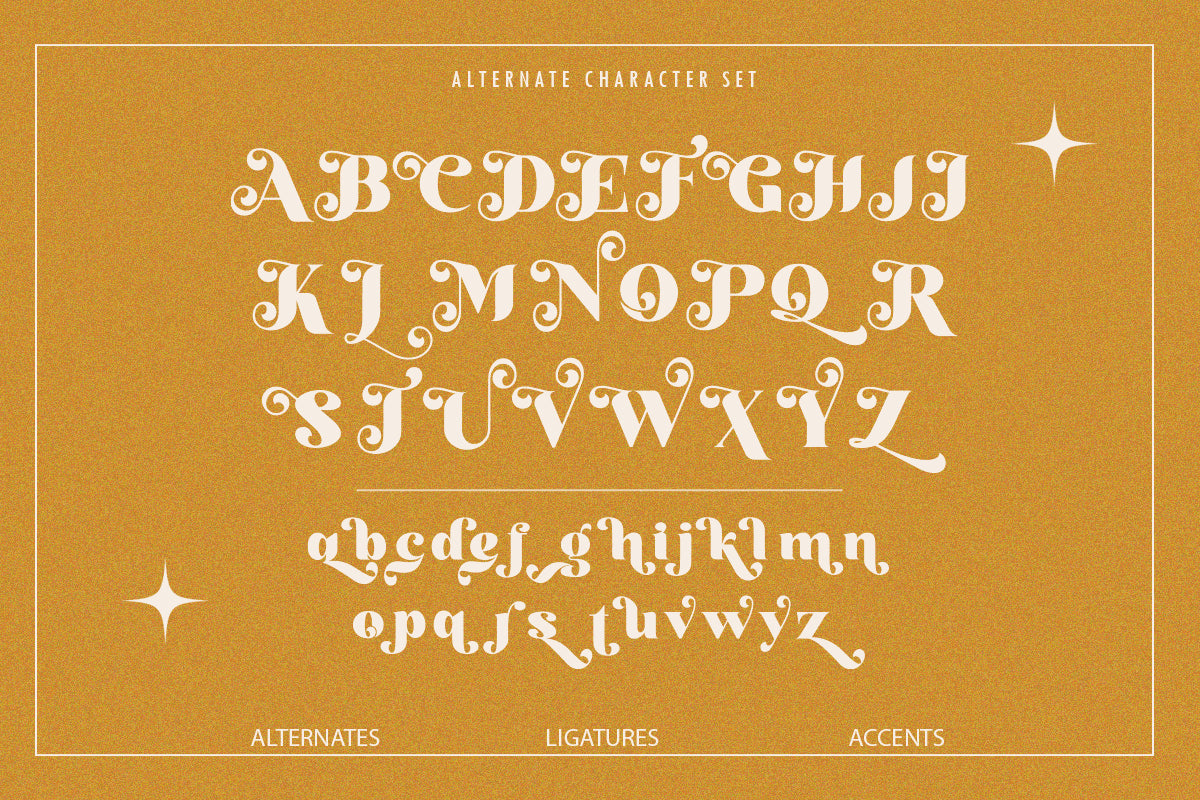 vastile-decorative-serif-font-say-studio-10.png