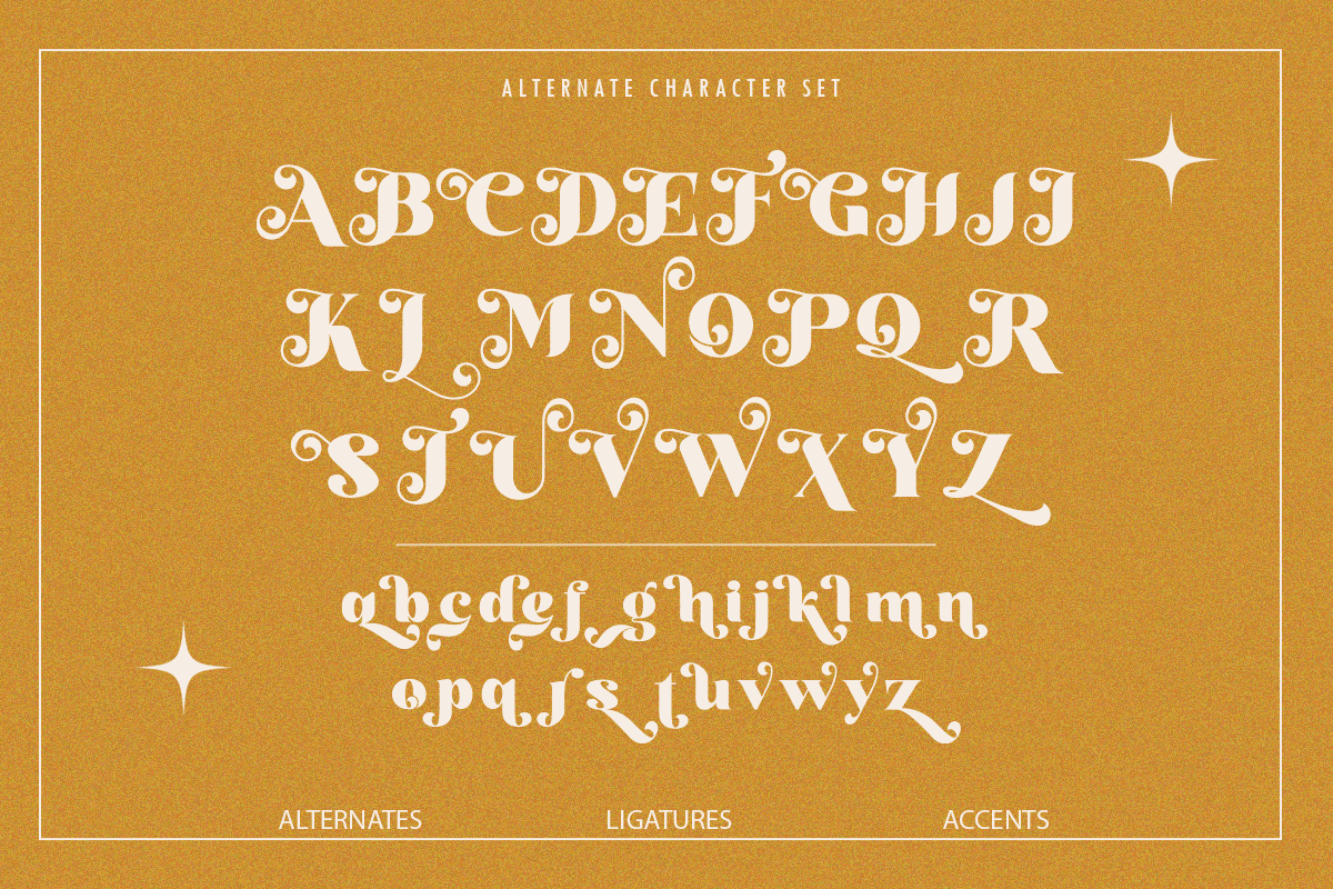 vastile-decorative-serif-font-say-studio-10.png