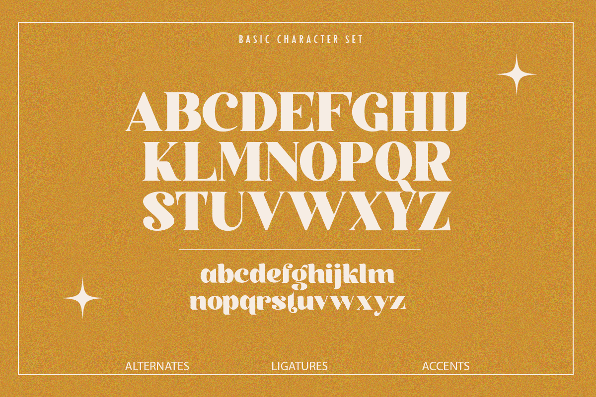 vastile-decorative-serif-font-say-studio-9.png