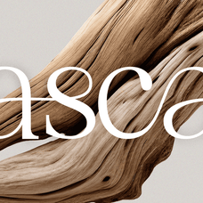 vaurum-modern-serif-font-rasio-std-6.png