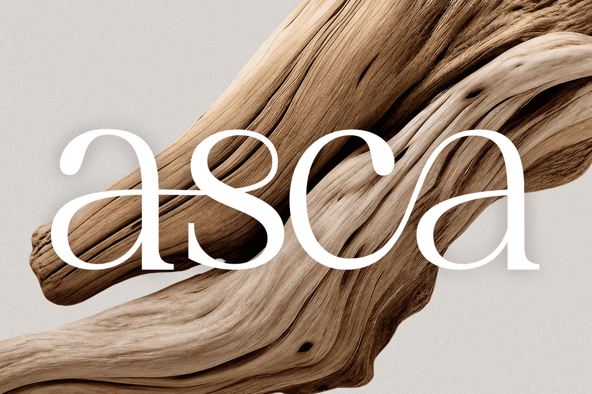 vaurum-modern-serif-font-rasio-std-6.png