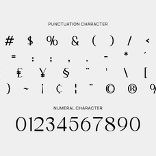 velafine-clean-elegant-sans-serif-font-rasio-std-3.png