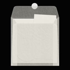 vellum-envelope-3-mockup-paper-archives-collection-05-glowhub-creative-co-3.png