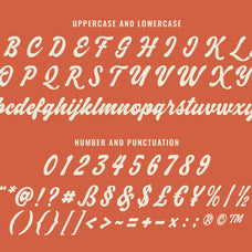 velnica-a-classic-bold-script-font-blankids-10.jpg