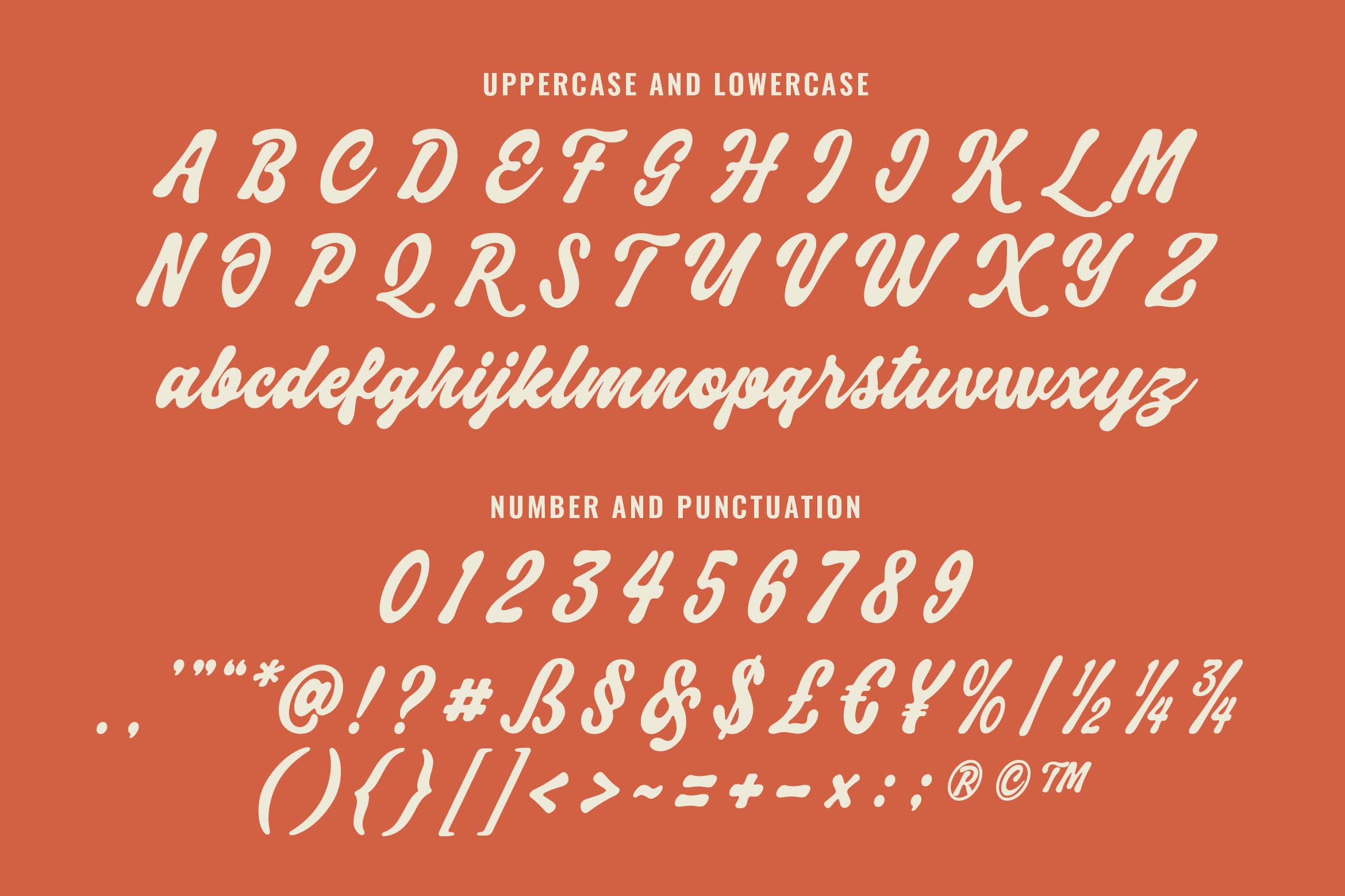 velnica-a-classic-bold-script-font-blankids-10.jpg