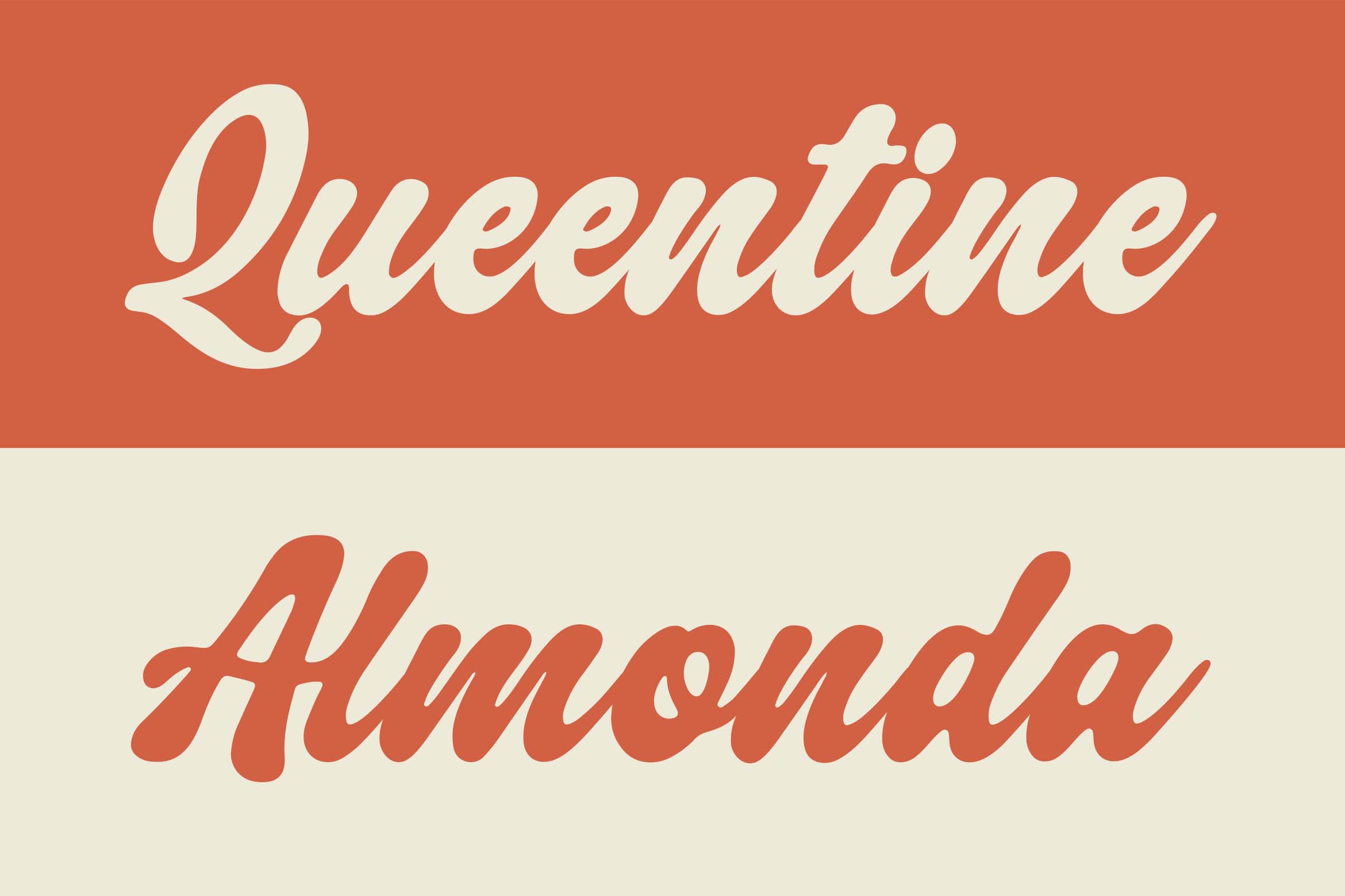 velnica-a-classic-bold-script-font-blankids-4.jpg