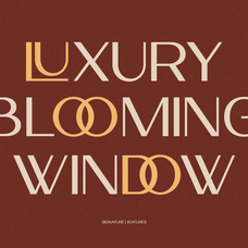 velocia-modern-editorial-sans-serif-say-studio-3.png