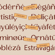 velocia-modern-editorial-sans-serif-say-studio-8.png