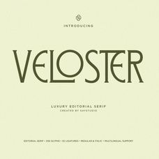 veloster-logo-serif-branding-font-say-studio-1.png