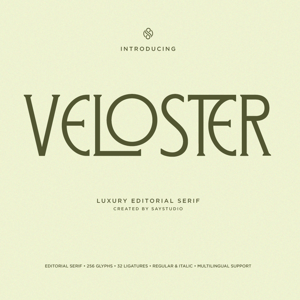 veloster-logo-serif-branding-font-say-studio-1.png