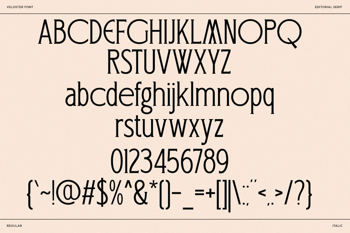 veloster-logo-serif-branding-font-say-studio-10.png