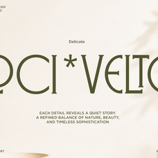 veloster-logo-serif-branding-font-say-studio-7.png
