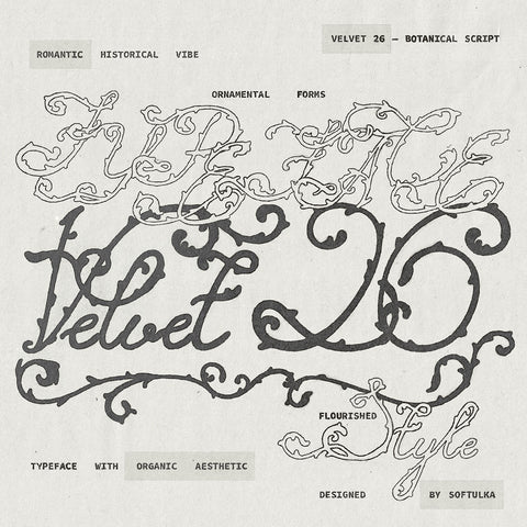 Velvet 26 Botanical Typeface