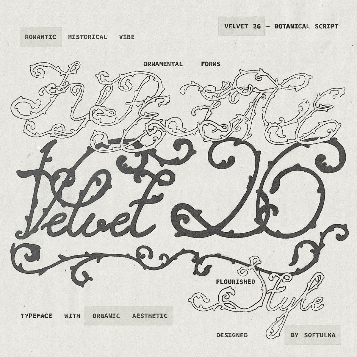 velvet-26-botanical-typeface-softulka-1.jpg