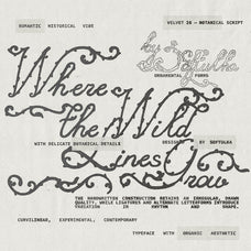 velvet-26-botanical-typeface-softulka-2.jpg