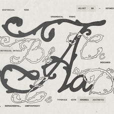 velvet-26-botanical-typeface-softulka-3.jpg