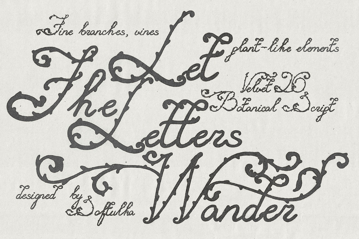 velvet-26-botanical-typeface-softulka-4.jpg