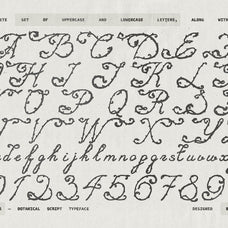velvet-26-botanical-typeface-softulka-7.jpg